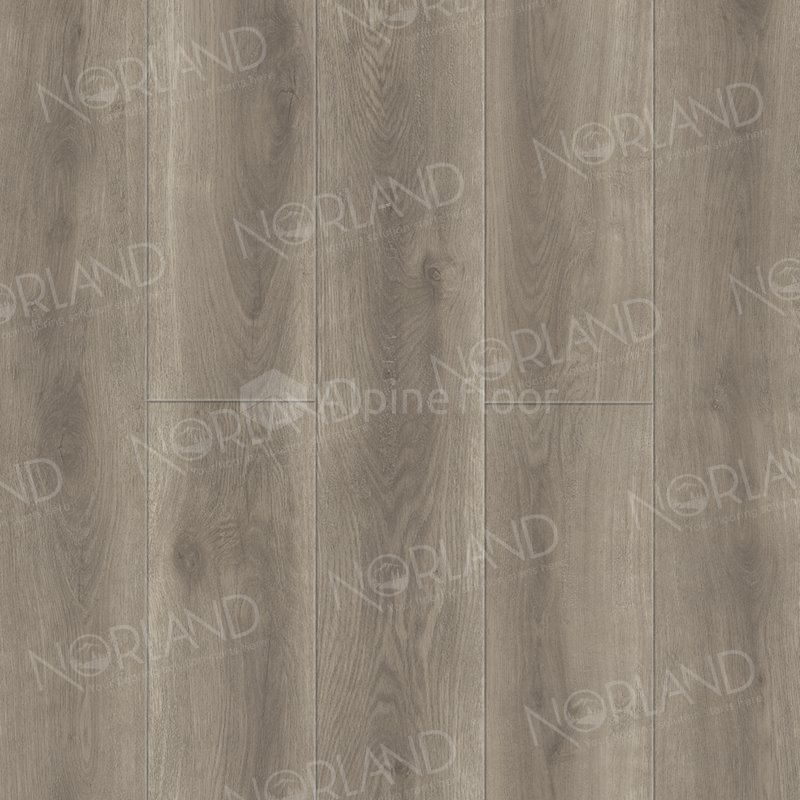 SPC Ламинат "Norland" Templet (1220*196*8 мм) — купить в Улан-Удэ